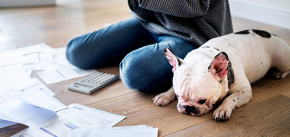 Blog Post - Why is the Hard Market Making my Insurance More Expensive?