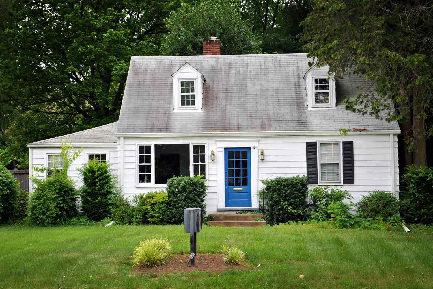 White colored house with a blue door in the woods.