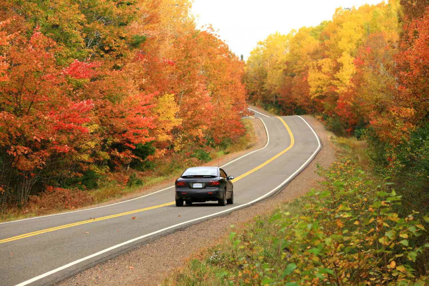 Car driving down road surrounded by forest in autumn.
