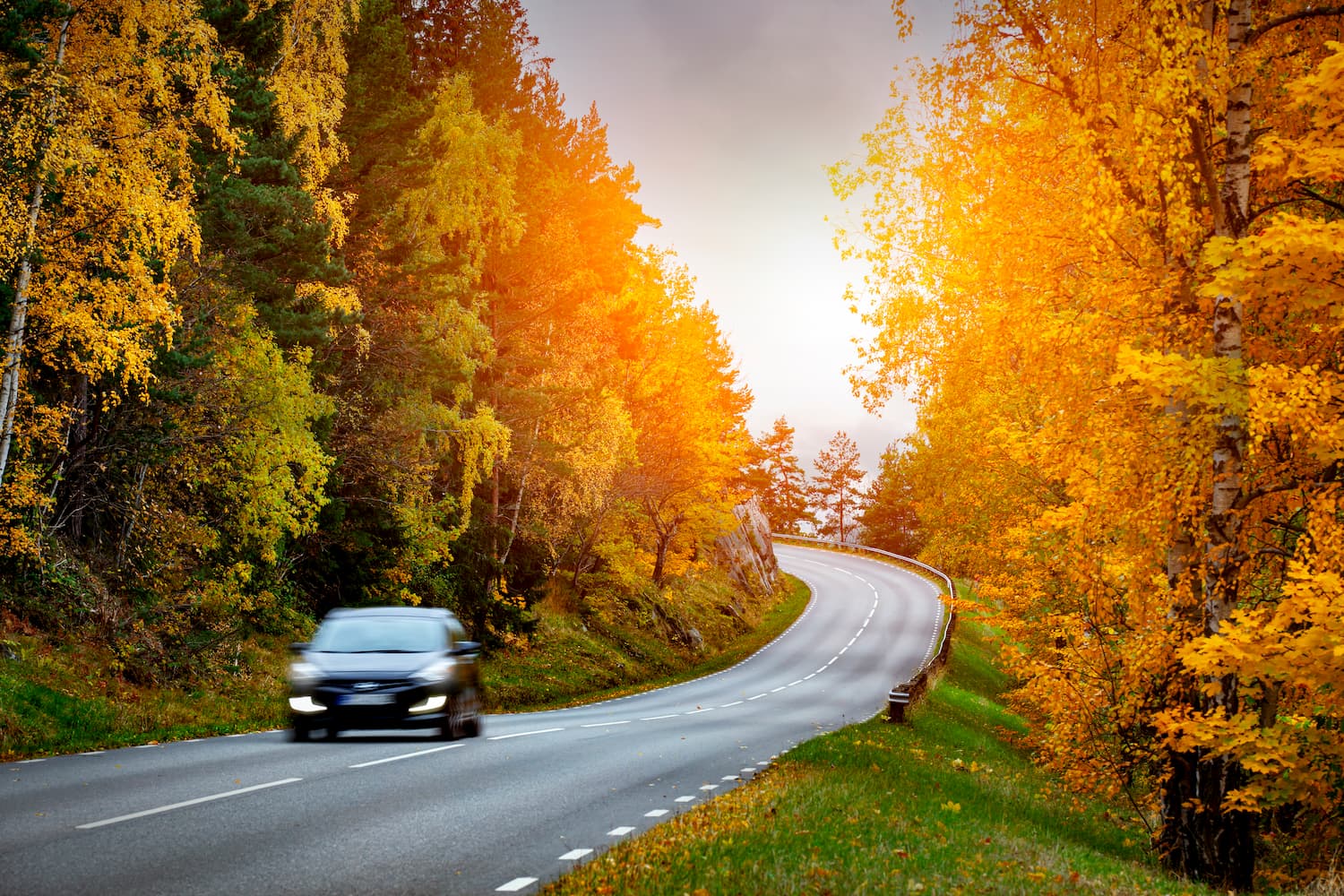 A vehicle drives on a road surrounded by trees with vibrant orange foliage.