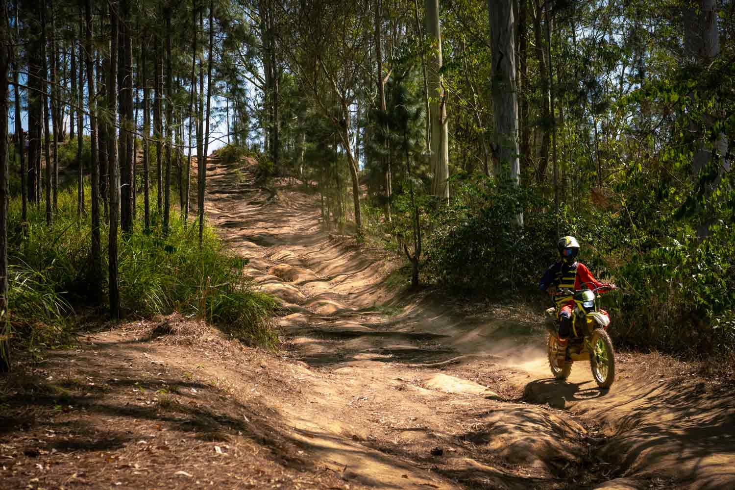 Off-road rider on a dirt bike in the woods.