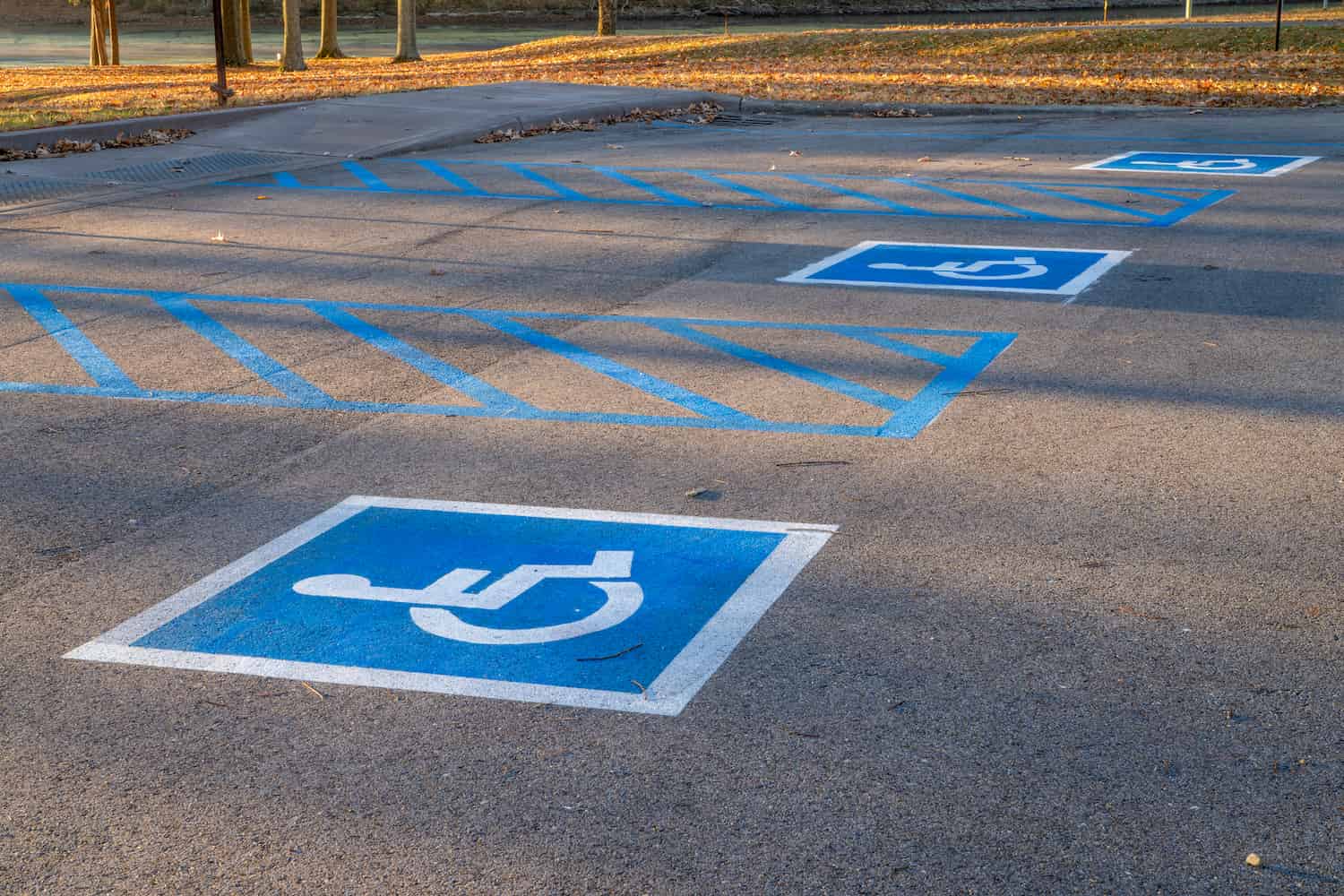 Handicap parking spot sign