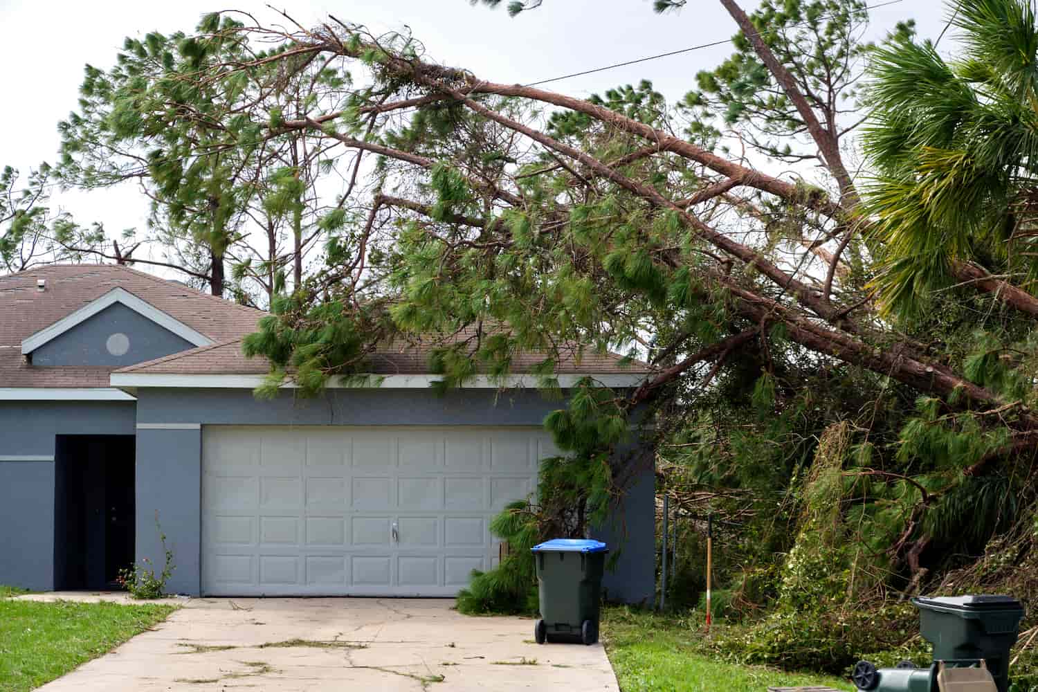 A fallen down big tree on a house after a hurricane