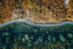 High angle view of a road through an autumn forest