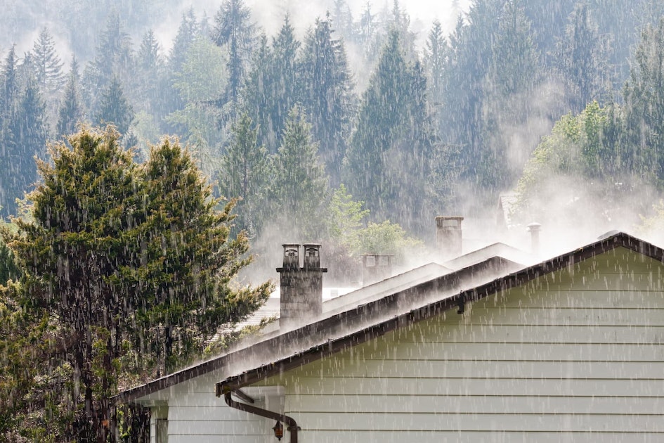Will your insurance cover water damage brokerlink
