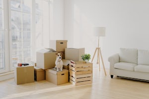Planning a move? Make sure you are packed with these tips