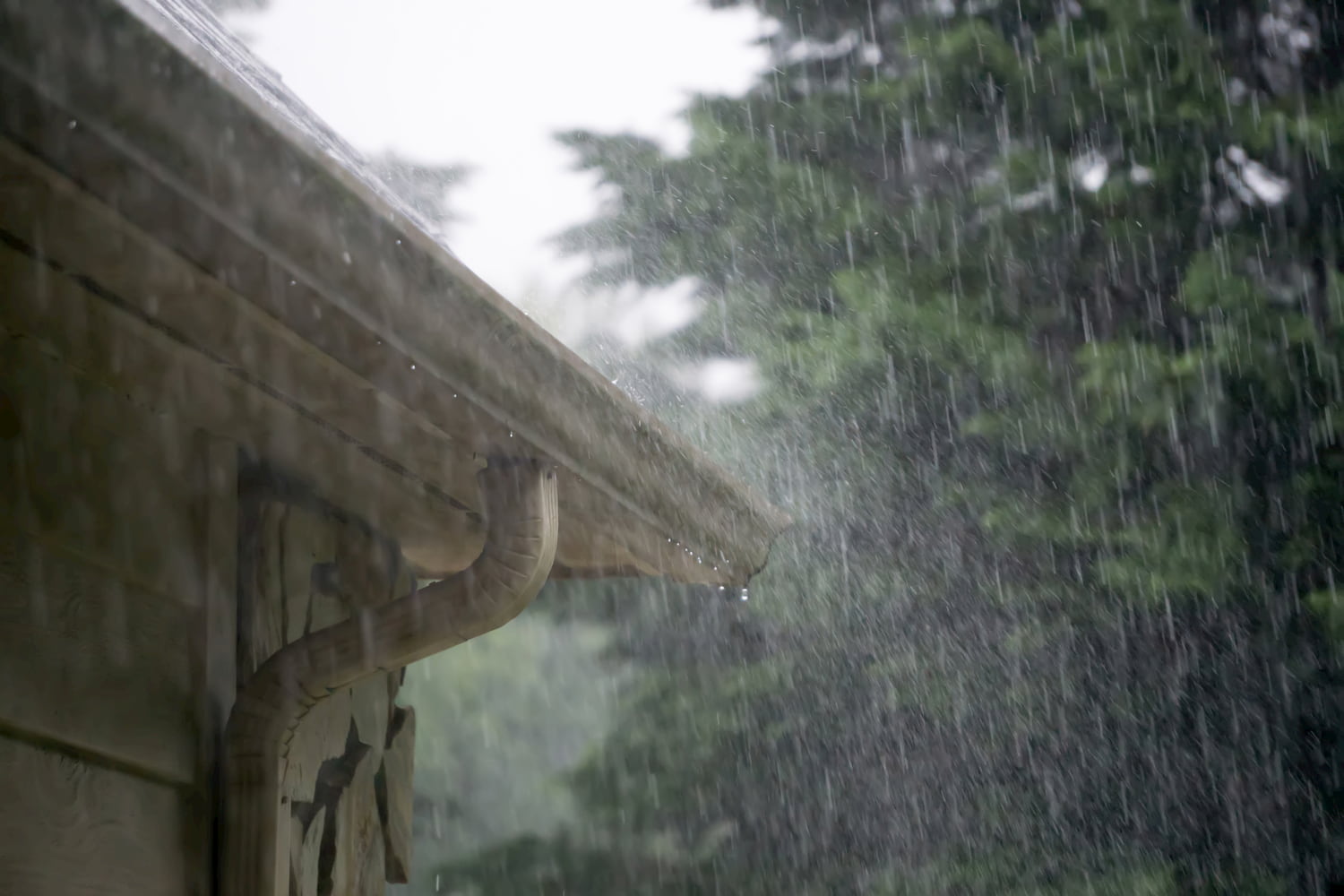 Bridge in a lush, green area during heavy rain.