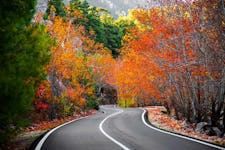A curvy road with autumn orange trees alongside it