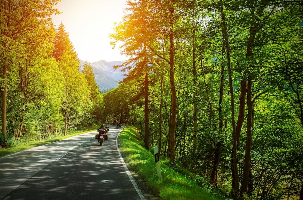 Sit back and enjoy the ride