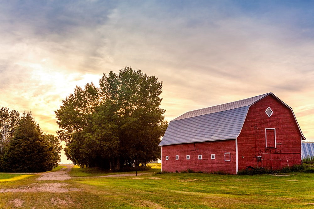 Six things you need to know about farm insurance