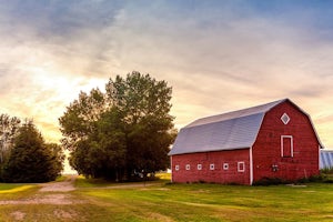 Six things you need to know about farm insurance
