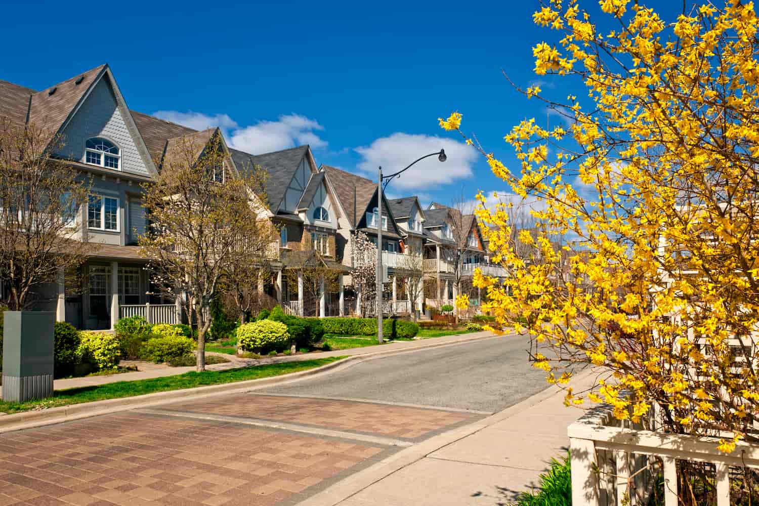Townhouses on residential street in spring.