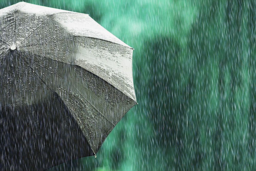 Forest scene with steady rain and an umbrella partially visible.