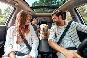 Mom and Dad with their daughter and a Labrador dog are sitting in the car.
