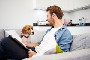 Man Looking At Paperwork And Playing With Pet Dog At Home.