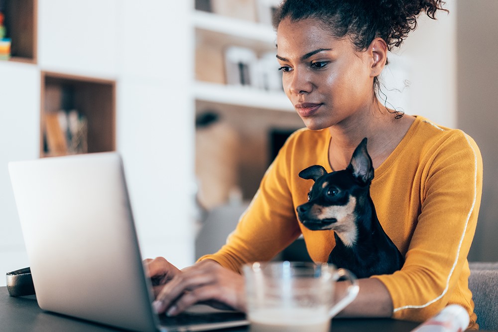 An individual sits in front of a computer screen with a pet dog resting on their lap.