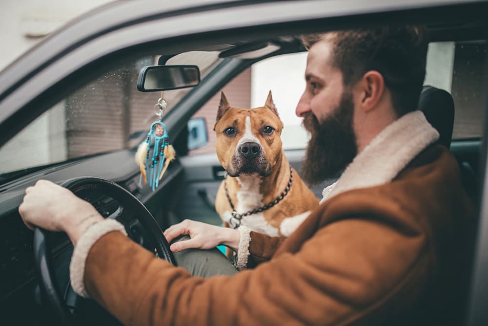 What Is Liability Insurance on Auto Policies And What Does It Cover?