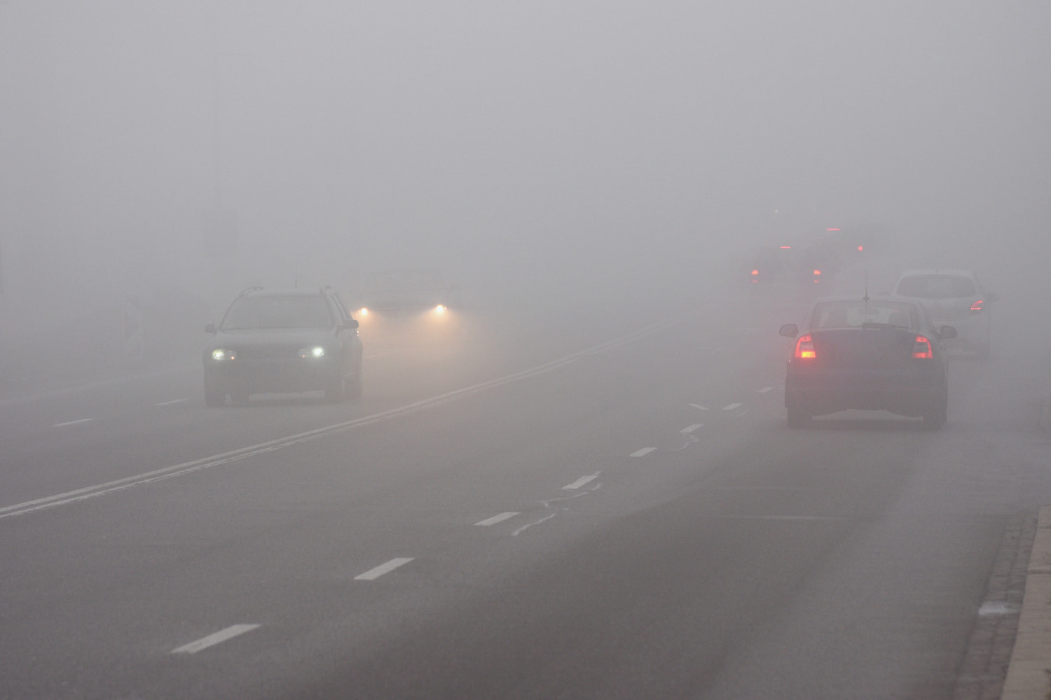 Vehicles driving in foggy conditions.