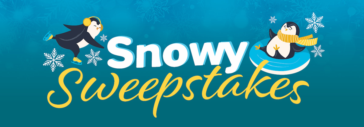 Snowy Sweepstakes